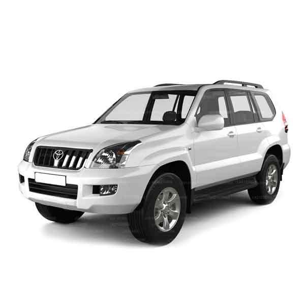 SUV and Jeep fleet option